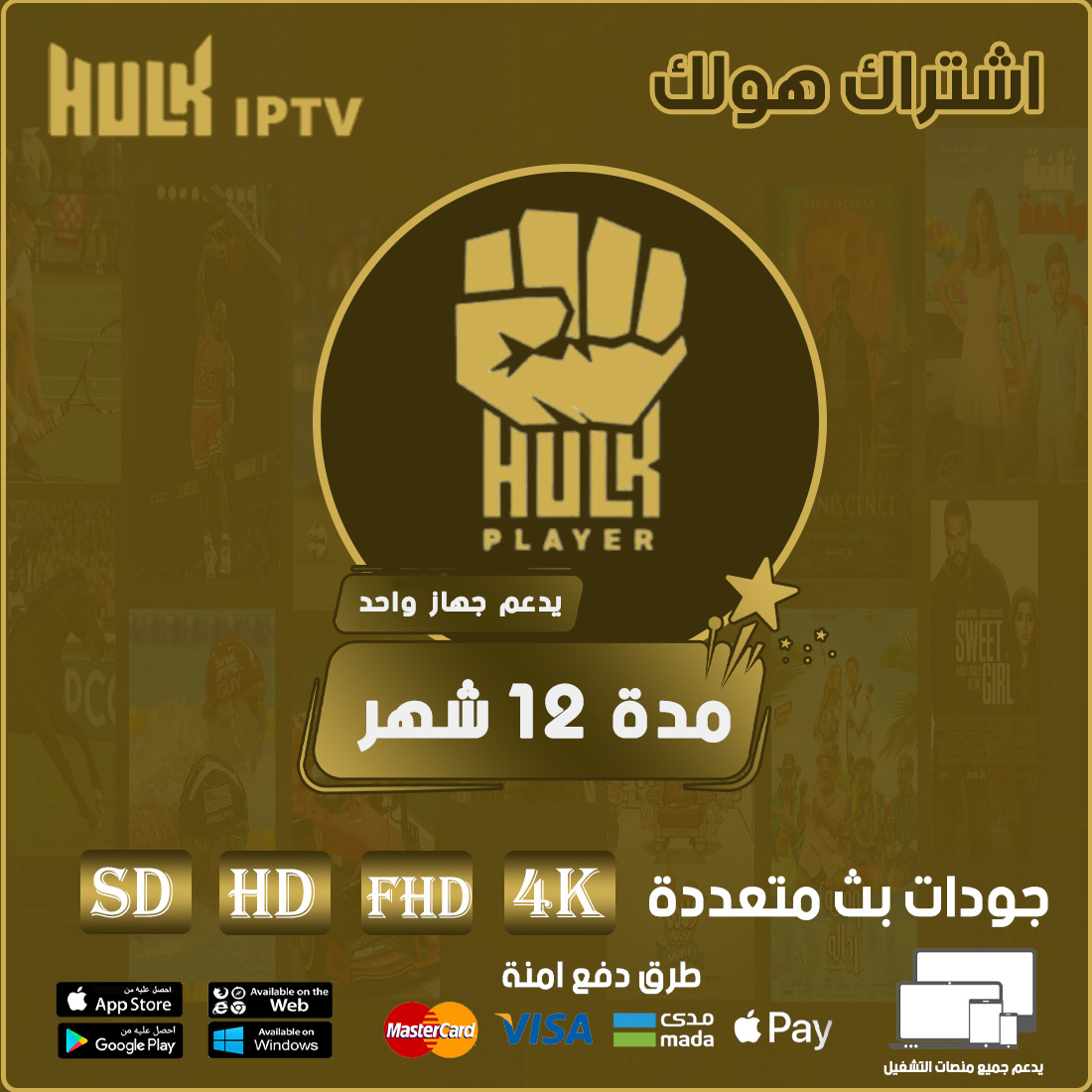 إشتراك هولك 12 شهر